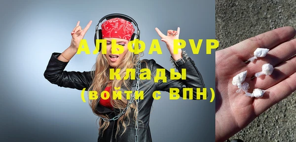 молекула духа Осташков