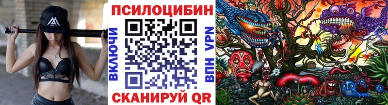 мега как зайти  Луга  Галлюциногенные грибы Psilocybe 